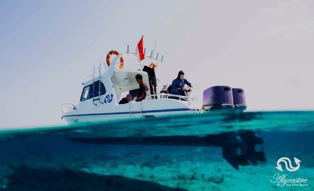Eco Dive Resort Alycastre Маумере Экстерьер фото